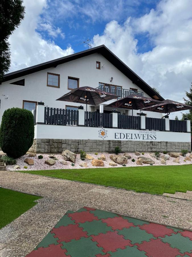 Wellness Hotel Edelweiss Либерц Экстерьер фото
