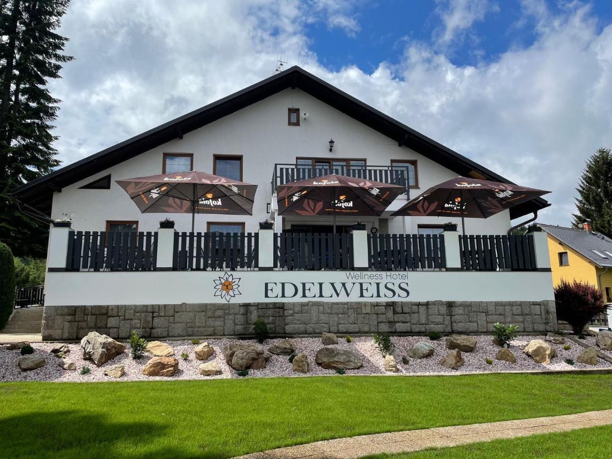 Wellness Hotel Edelweiss Либерц Экстерьер фото